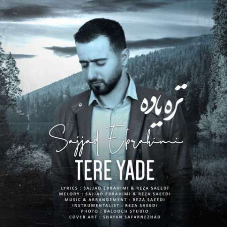 Sajjad Ebrahimi – Tere Yade